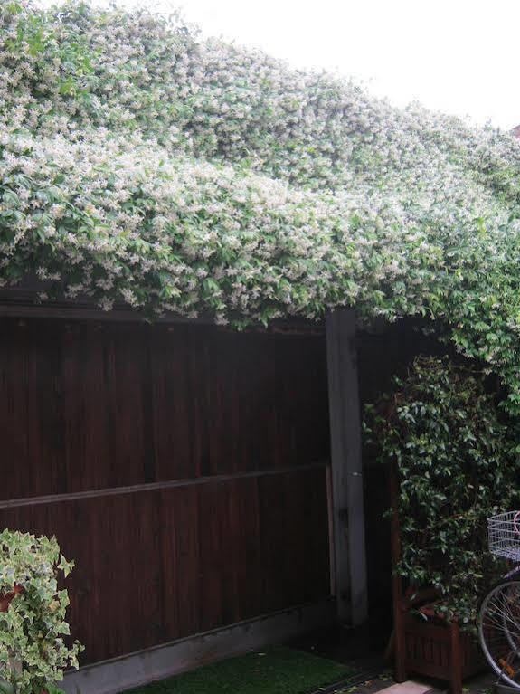 Casa Di Carlo Goldoni - Dimora Storica Bed & Breakfast Chioggia Dış mekan fotoğraf